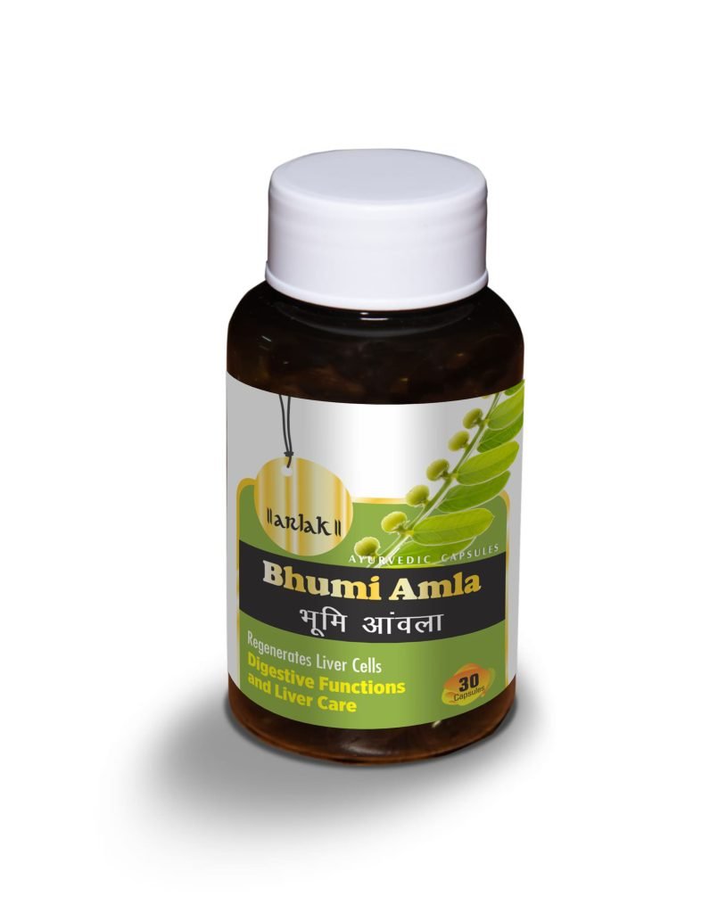 Best Ayurvedic Amla Capsules in India