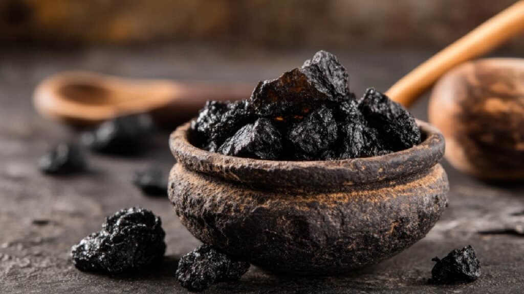 Top 10 Shilajit Brands in India