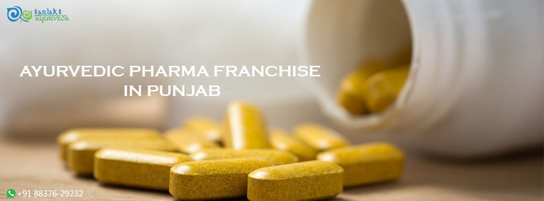 Ayurvedic Pharma Franchise in Punjab