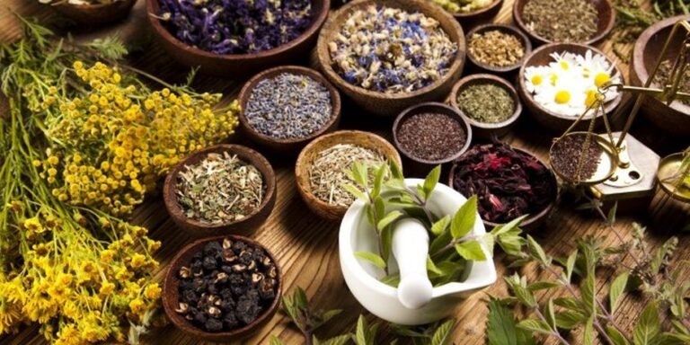 Ayurvedic Products Manufacturers in Gujarat