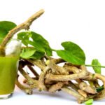 Giloy / Guduchi Juice (Tinospora cordifolia) with fresh leaves and stems